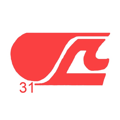 HSADSP.31 HSADSP.31