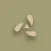 AASOKA