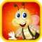 Learn about Insects