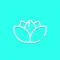 Zen Spa Tranquility Relax