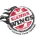 Sienna Wings