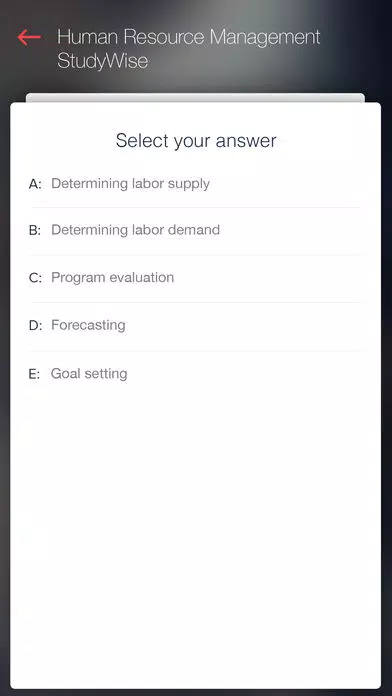 StudyWise HR Management Screenshots