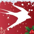 ElfKit Festive Fitness Advent Calendar 2015 ElfKit Festive Fitness Advent Calendar 2015