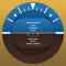 Watch Flight Simulator