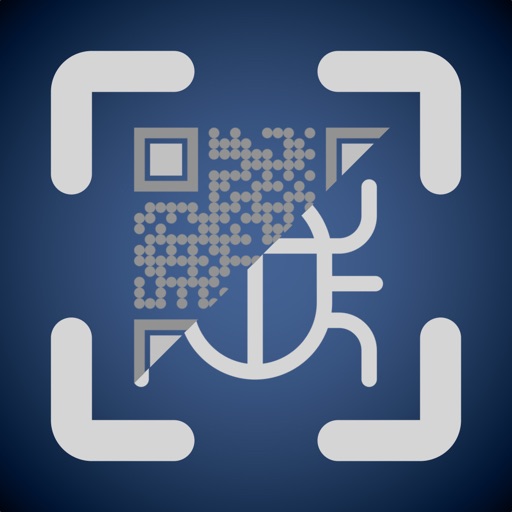 QR Debug QR Debug
