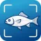 AI Fish Identifier