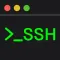 Terminal & SSH
