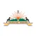 Arogya Arunachal