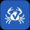 vMTB