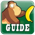Guide Banana Kong
