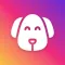 Dog Care Guide: Pup Tips & Fun