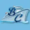Bliss Cruise