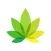 IndicaOnline