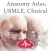 Anatomy Atlas, USMLE, Clinical