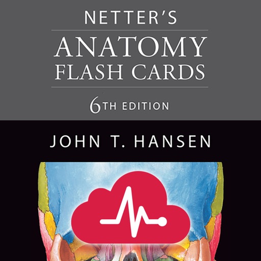Netters Anatomy Flash Cards Netters Anatomy Flash Cards