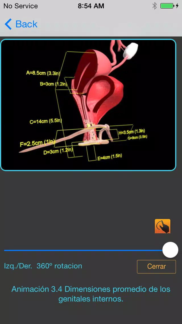 Anatomia Sexual Femenina Screenshots