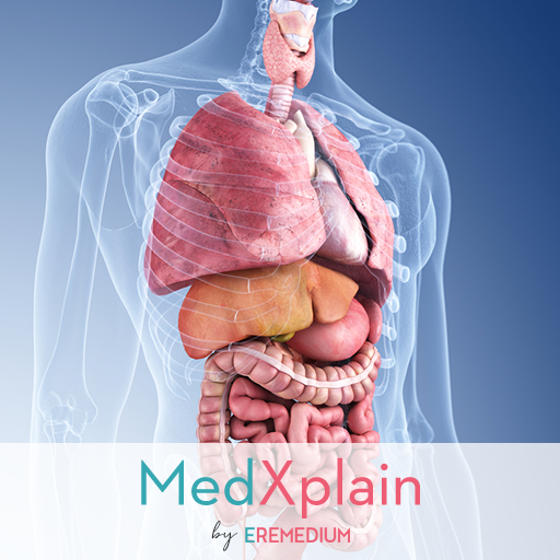 MedXplain