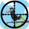 Classic Duck & Animal hunting