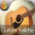 Guitare fraîche