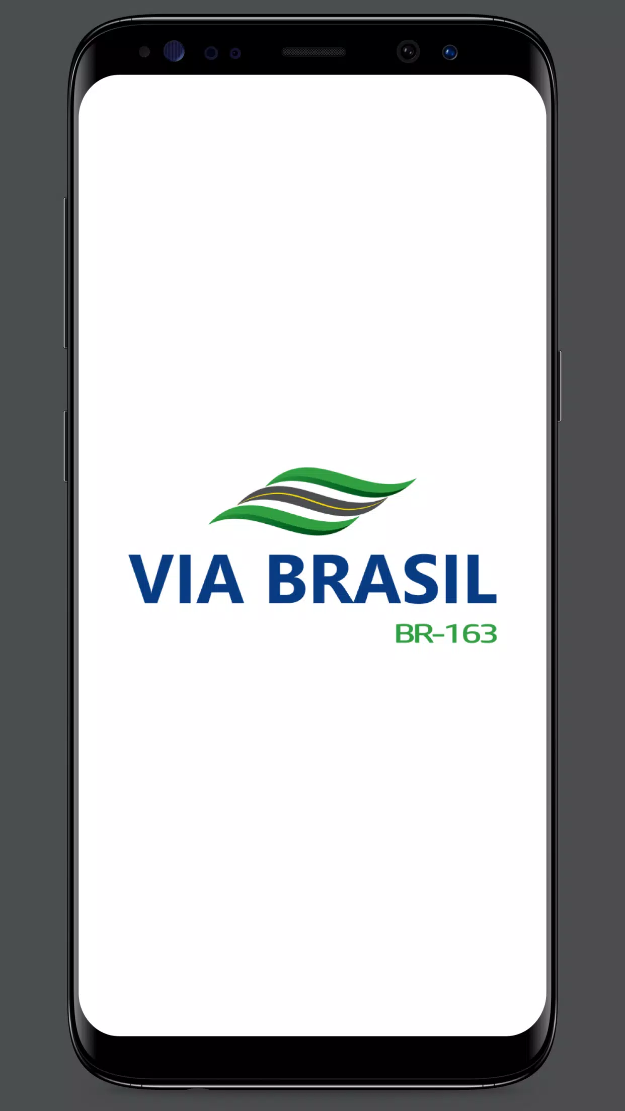 VIA BRASIL BR-163應用截圖