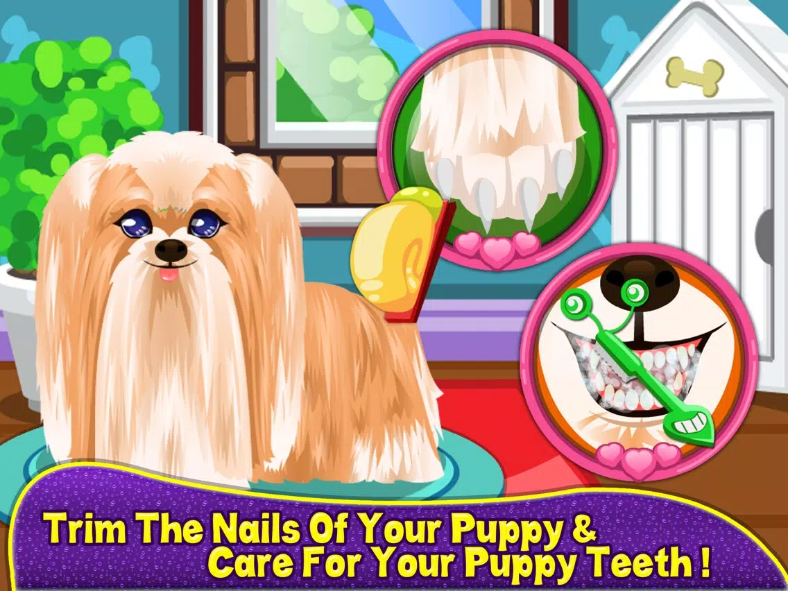 Talking Pet Makeover iPad Screenshots