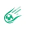 أخبار الدوري السعودي
