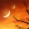 HD Beautiful Wallpapers