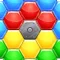 Hexa Puzzle 2024