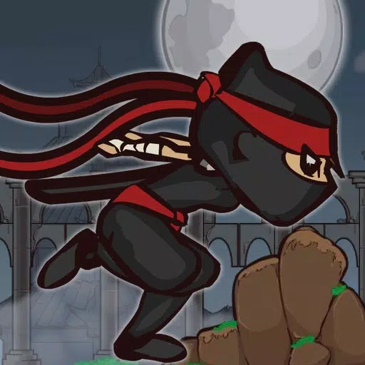 Devil Ninja Devil Ninja