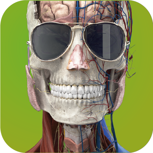 Memorix Anatomy and Histology