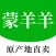 蒙羊羊-草原美食,内蒙直发