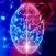 Mental Age Test - Brain Quiz