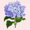 Delightful Flowers