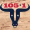105.1 The Bull