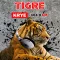 KRYE Tigre 104.9 FM