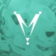 Metvy: Professional Networking Metvy: Professional Networking
