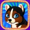 Lovely Puppy Pet:Puzzle games for children