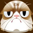 Tom Paradise-EN