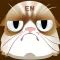 Tom Paradise-EN