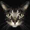 Cat Breeds guide and quiz