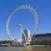 Great Britain History Info +