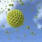 List of Allergens Info
