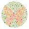 Color Blind Test Details