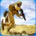 Counter Warrior Strike 3D