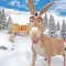 Unicorn Crazy Donkey Care Game