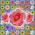 Blossom Link: Flower Valley