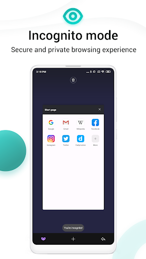 Mint Browser - Video download, Screenshots