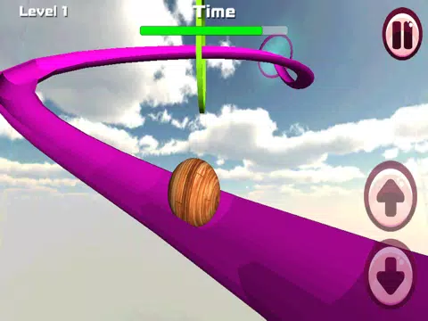 Ball Coaster 3D - Roller Dash iPad  স্ক্রিনশট