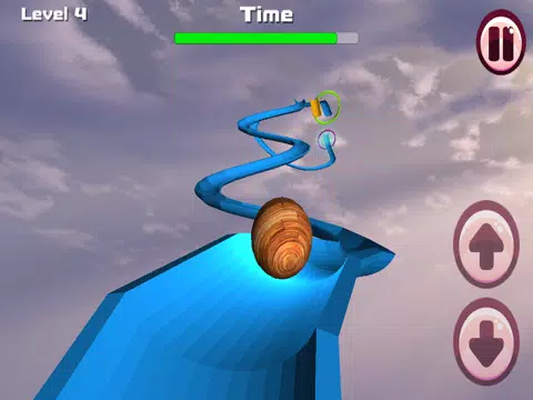 Ball Coaster 3D - Roller Dash iPad  স্ক্রিনশট