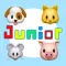 ECHO Junior